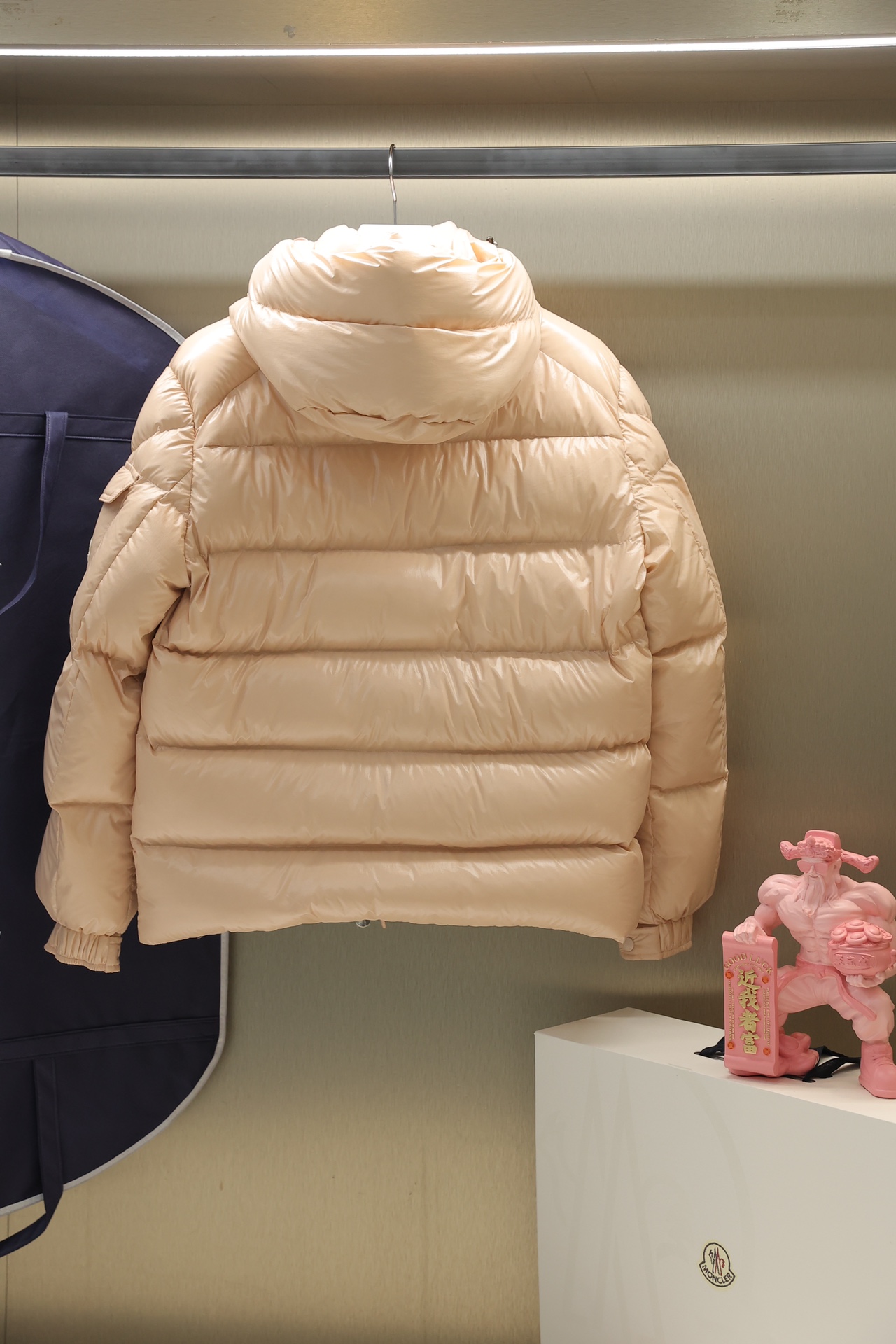 Moncler Down Jackets